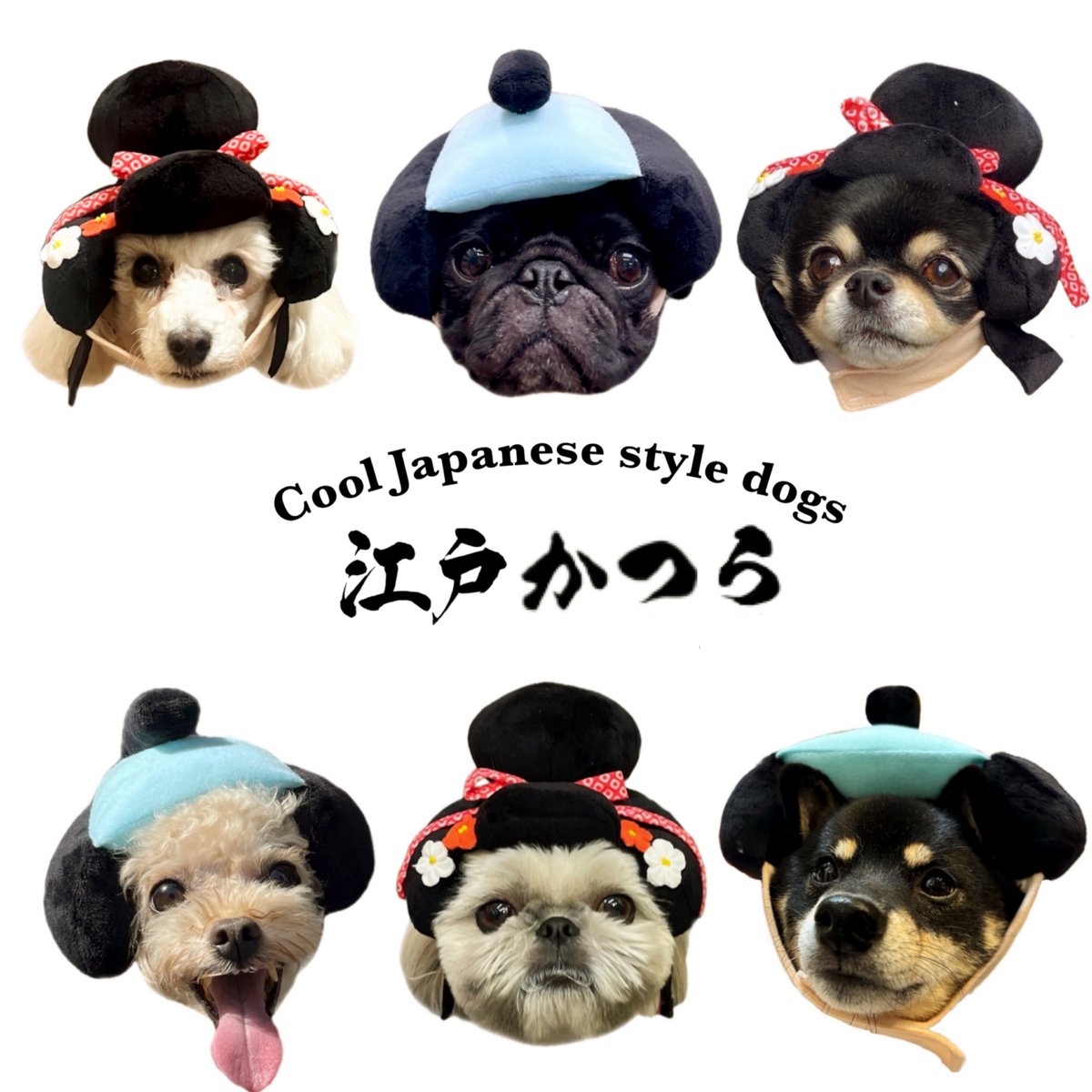 売り切れ♪犬用 かつら ハゲちゃびん サムライ パグ Pompreece fit=scale-down,w=1200
