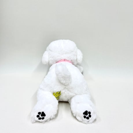 ひざわんこ　ビションフリーゼ