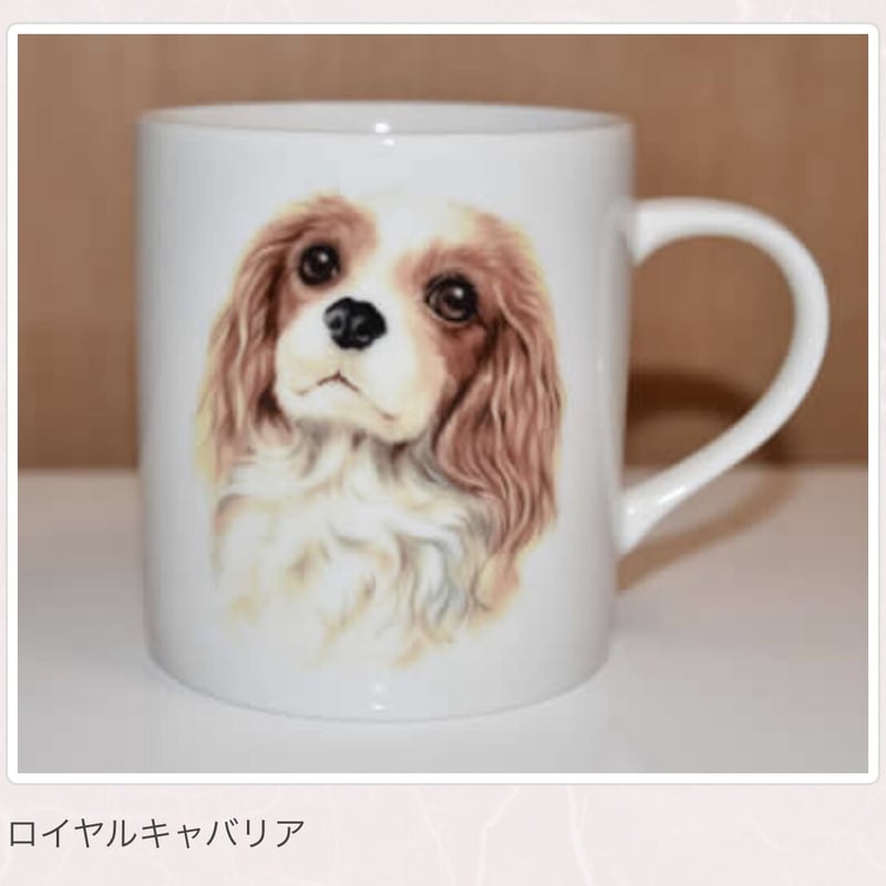 犬種別マグ【浅草ロゴ入り】② | adachiya NET