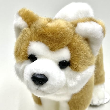 秋田犬Ｍ(立)　ぬいぐるみ