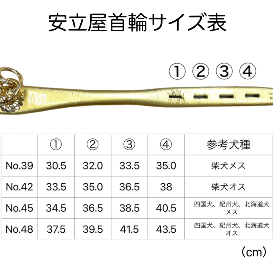 6056aedffda36050ab32389c
