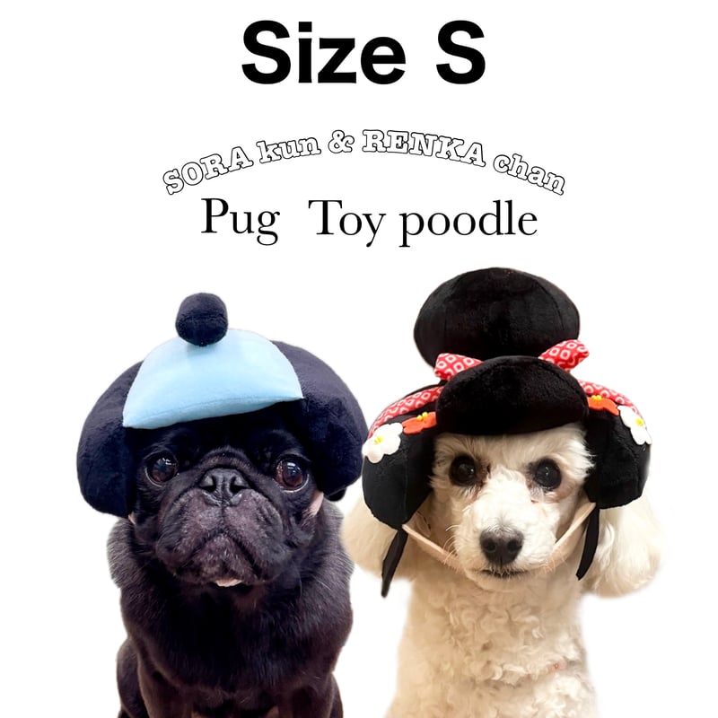 ゴマちゃん下敷き3枚セット　バラ売りも可 楽天市場】【公式】瀬戸内レモン農園【 レモンのタラちゃん 】タラ