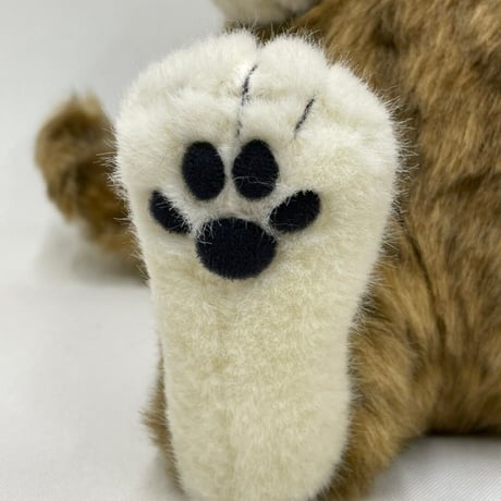 Cuddly  ムッシュ