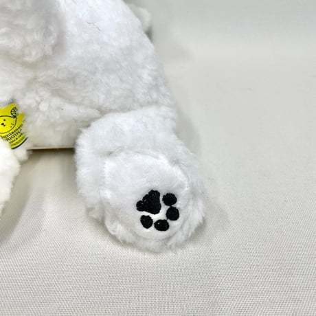 ひざわんこ　ビションフリーゼ