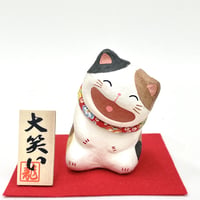 大笑い猫  (座)