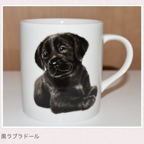 犬種別マグ【浅草ロゴ入り】②