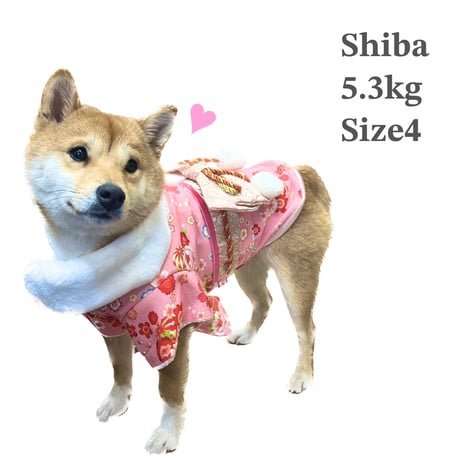 晴れ着　初桜（はつざくら）　1号～6号/10号