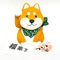 福来るワン  赤