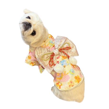 CATEGORY 和服(Japanese dress) | adachiya NET