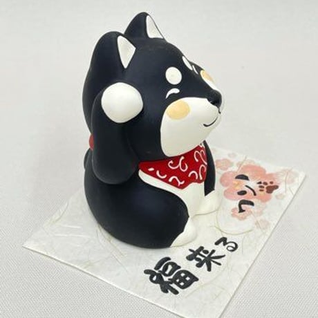 福来るワン　黒