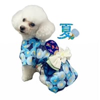 浴衣　青藍（せいらん）1号～9号