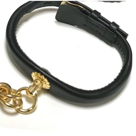 【chikamaru 】首輪（特注品）2つ 引きカン付き首輪 金(Gold) No.39~No.42 | adachiya NET