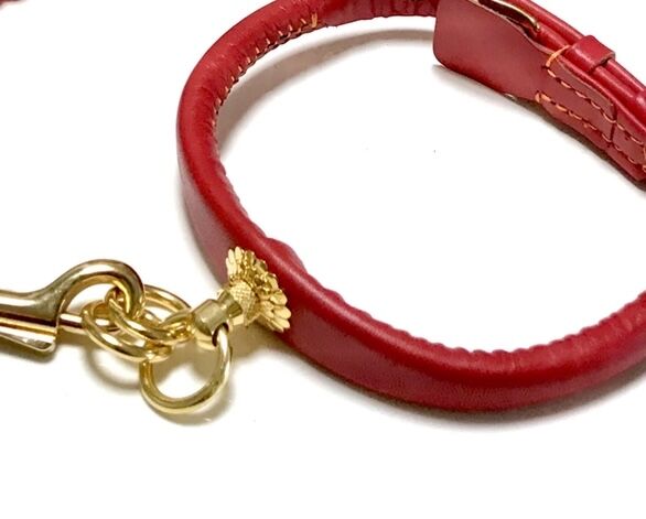引カン付き首輪 赤(red) No.45~No.51 | adachiya NET