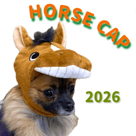 CATEGORY 被り物(Fancy goods) | adachiya NET