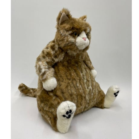 Cuddly  ムッシュ