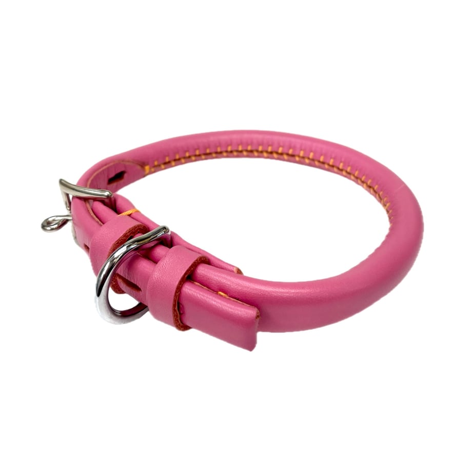 66aed8f1544a4b28be789a5e