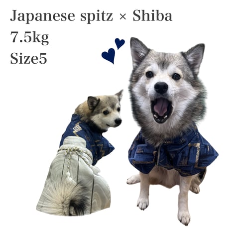 袴　梵天（ぼんてん）1号～9号