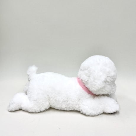 ひざわんこ　ビションフリーゼ