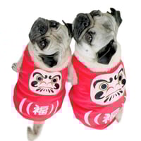 福だるま　赤（red)　8号～10号