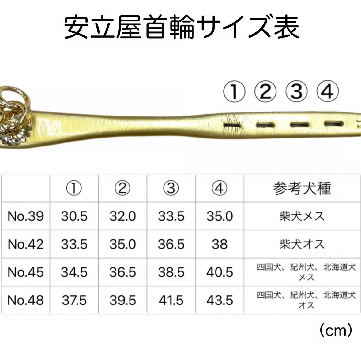 丸首輪 緑 (green）No.45～No.63 | adachiya NET