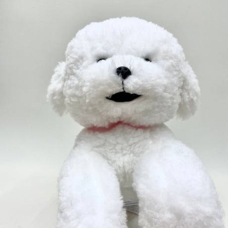 ひざわんこ　ビションフリーゼ