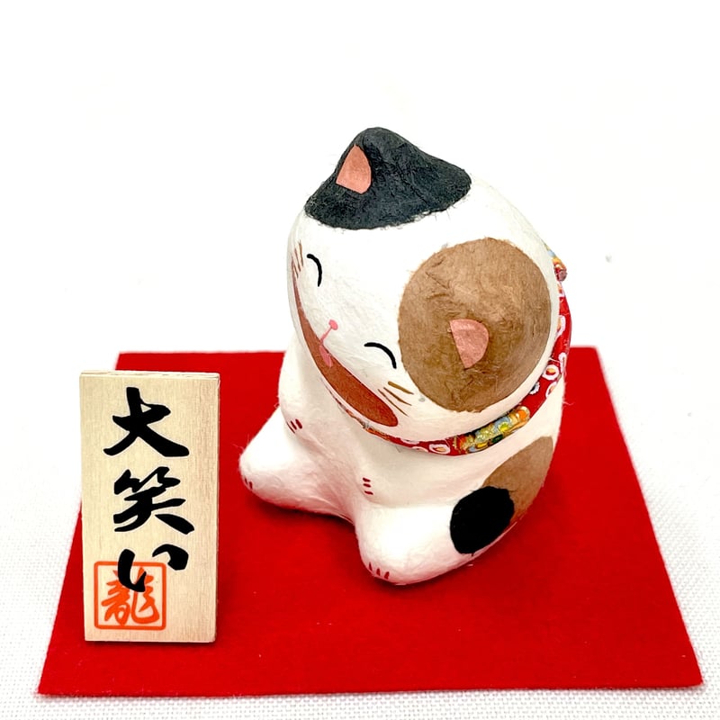 ねこだんご様専用恵比寿笑 大株 現地株 発根済み 発送3/18