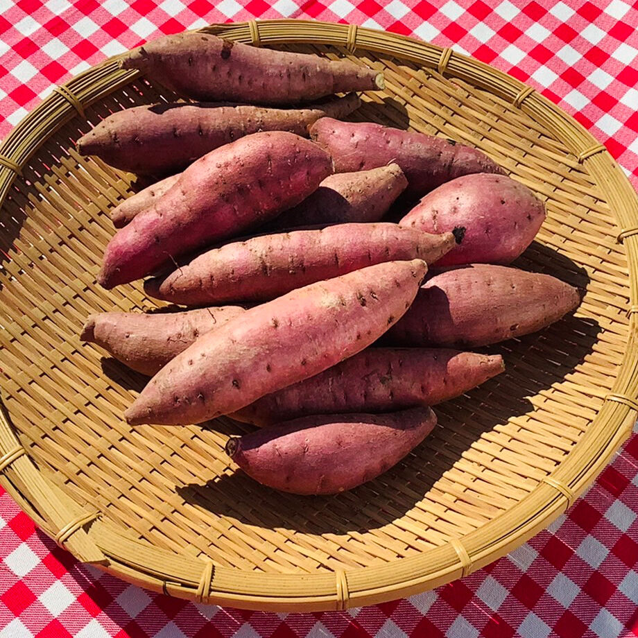 【送料込】さつまいも 紅はるか（SSサイズ）生芋800g