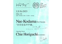 3.31 (FRI.) LIVE   Nao Kodama New Session 「菅菅弦弦声声鍵」 Guest Chie Horiguchi（LEARNERS）