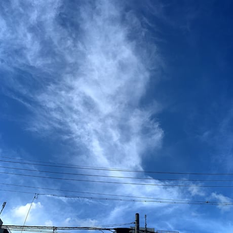 ﾟ*✩‧₊˚無料ﾌﾗｰﾚﾝ修理専用窓口ﾟ*✩‧₊˚
