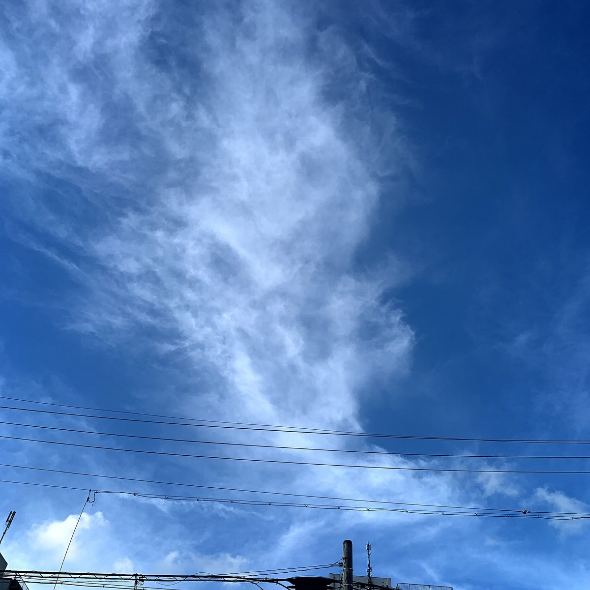 ﾟ*✩‧₊˚無料ﾌﾗｰﾚﾝ修理専用窓口ﾟ*✩‧₊˚ | ପI, la chicଓ