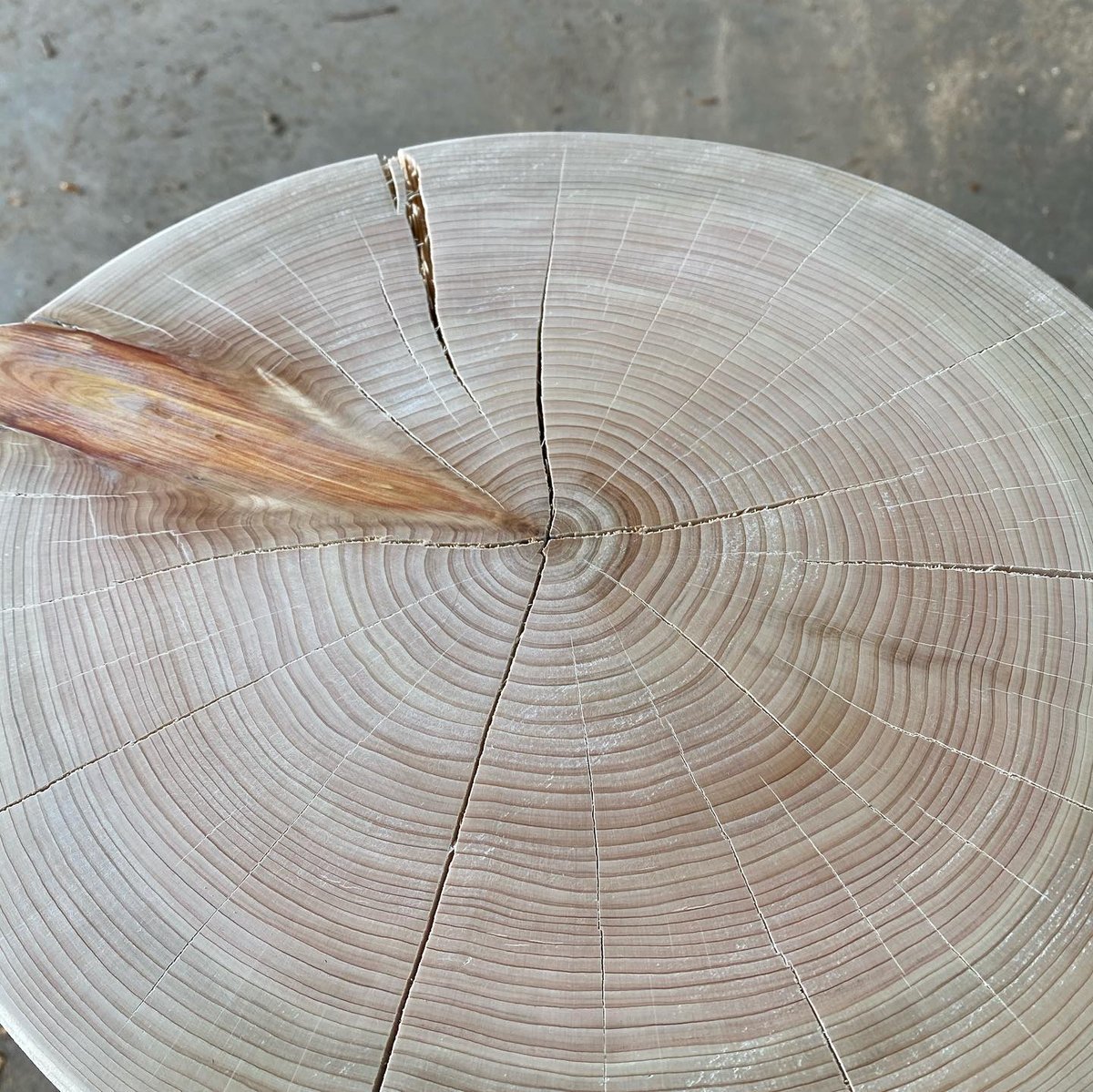 HINOMARU（檜の丸太スツール） | OWASE woodworks