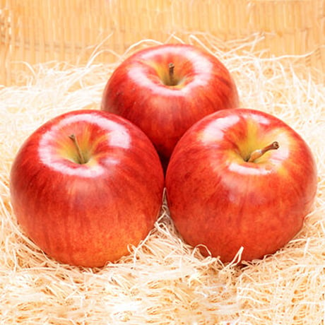 9月に採れる信州のりんご　サンつがる　約5㎏！