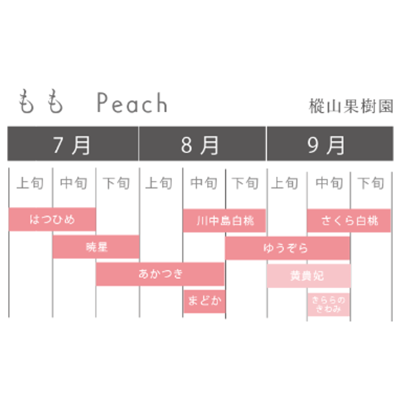 7月下旬より発送開始】あかつき・まどか 大玉6個入り 2kg | よつ葉の