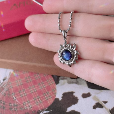 SunFlower meteorite