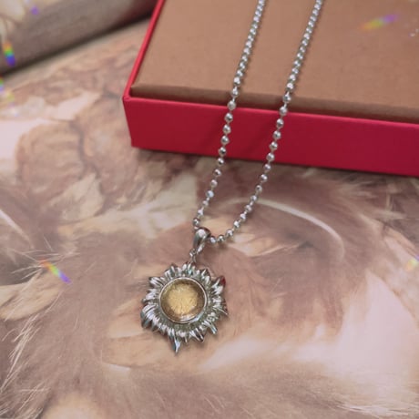SunFlower meteorite