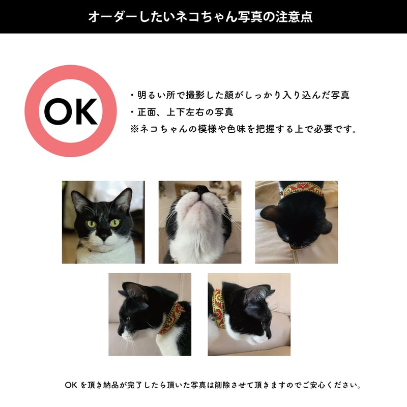 ☆データ納品☆ 我が愛ネコの似顔絵アイコンオーダー （ネコちゃん限定