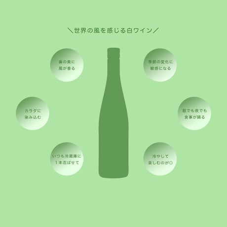 【春夏秋冬おすすめ】お好み５本セット（通常¥13,200）