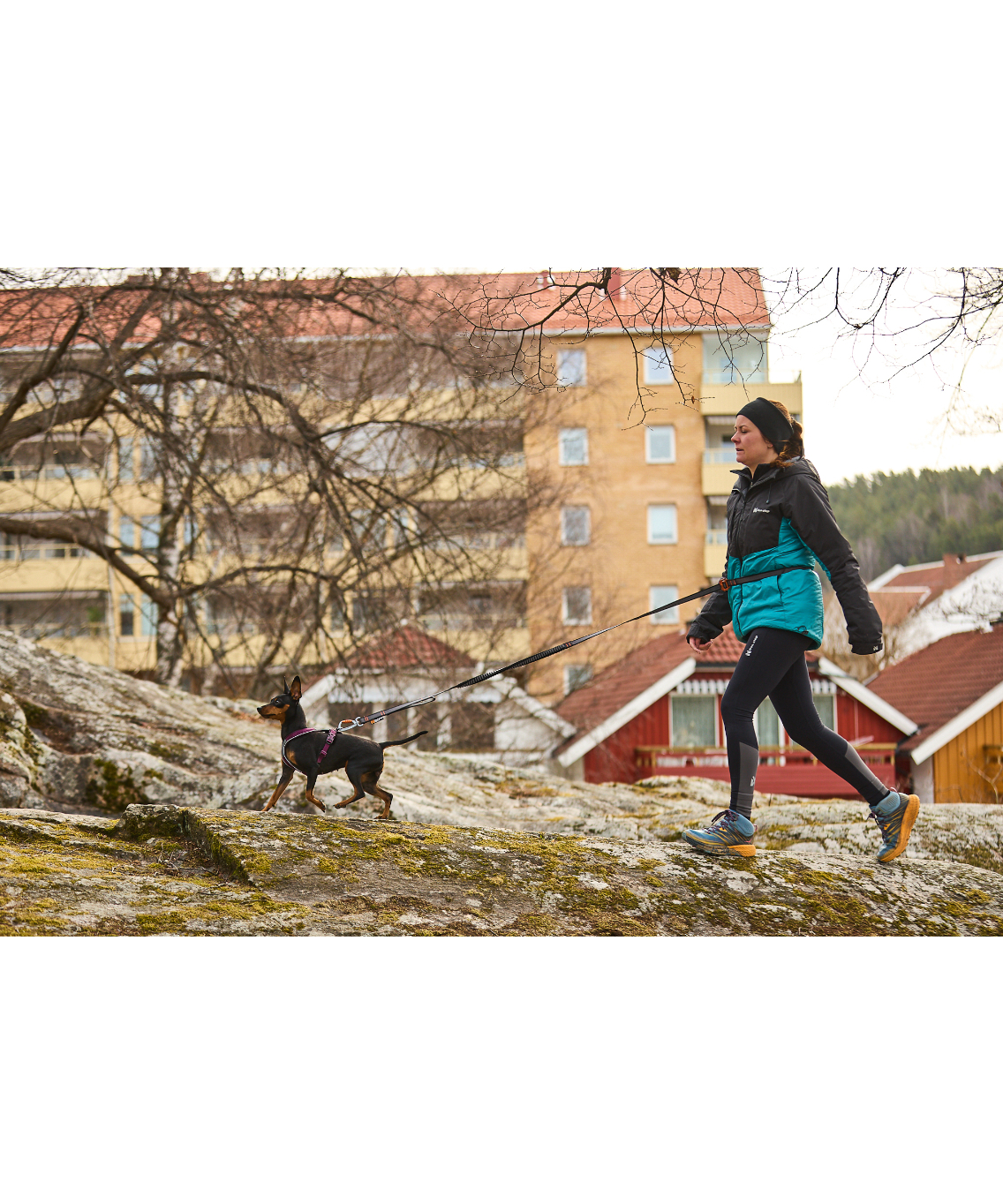 Non-stop dogwear] Touring bungee adjustable |