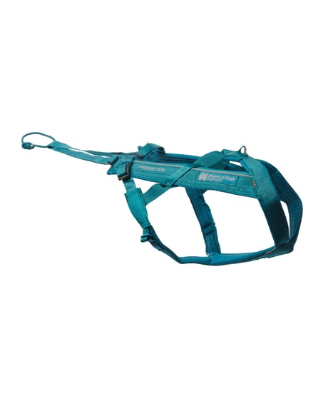 [Non-stop dogwear] Freemotion harness 5.0 ティール
