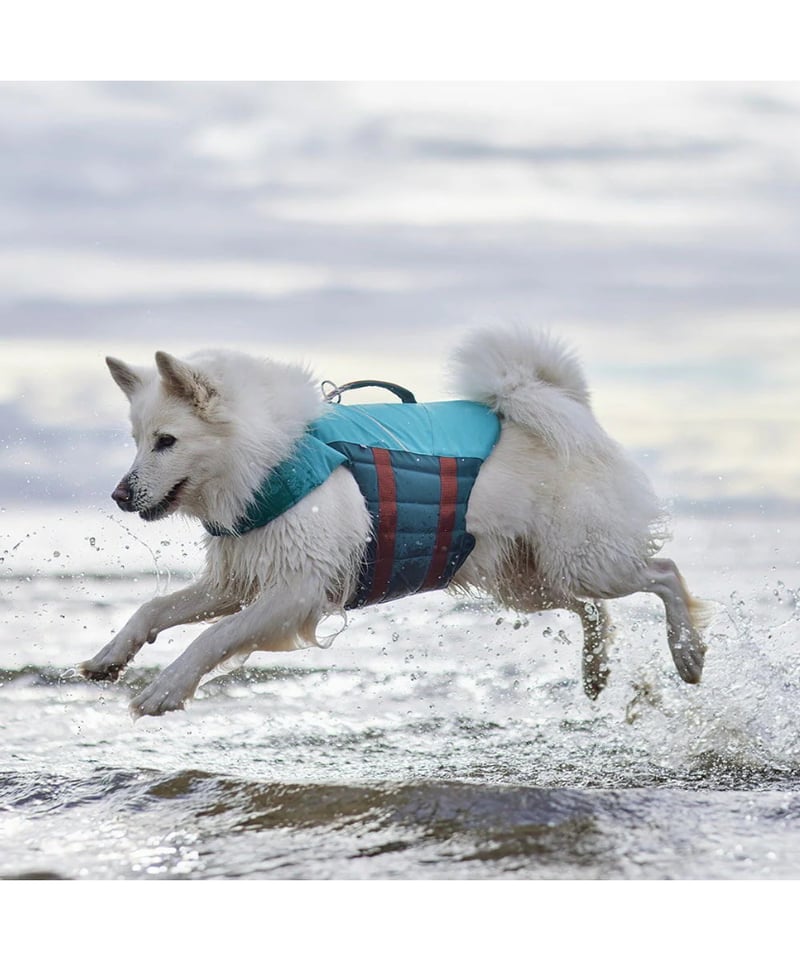 Hurtta] LIFE SAVIOR ECO LIFE JACKET オレンジ | Whi