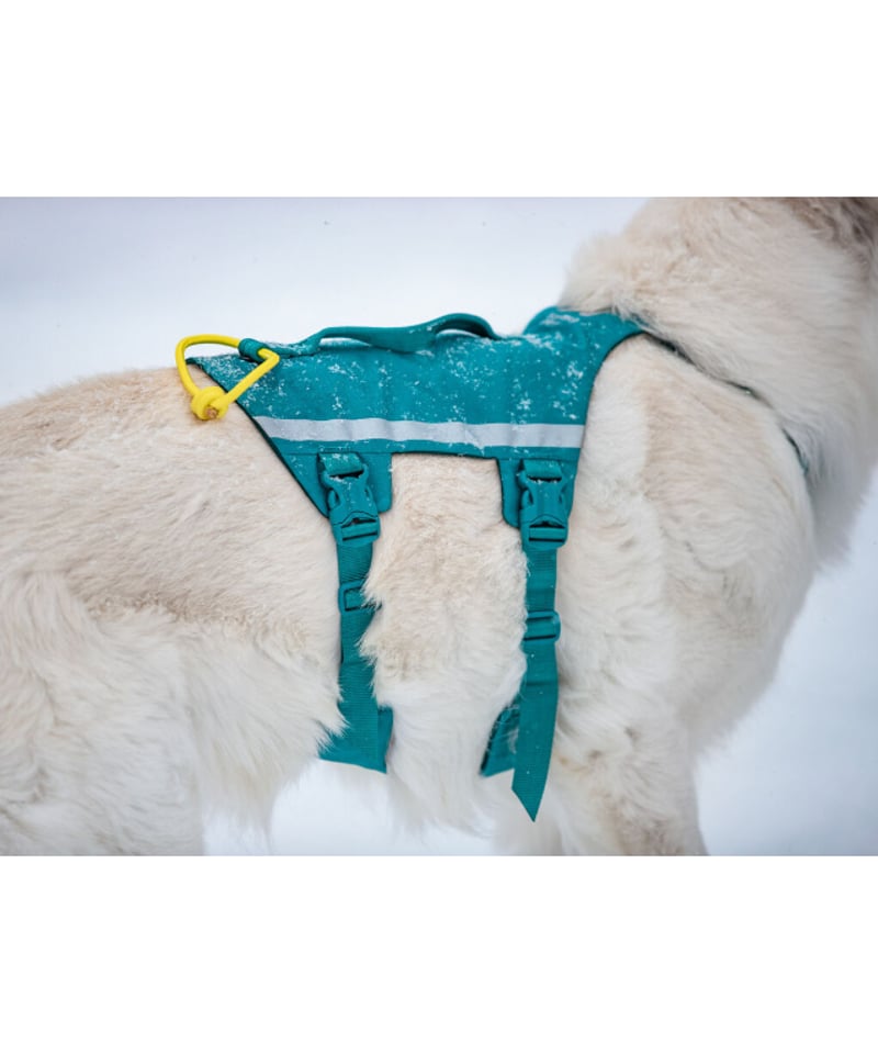 [Non-stop dogwear] ノンストップドッグウェア　ランブ−ル Non-stop dogwear] Ramble harness long ティール | W