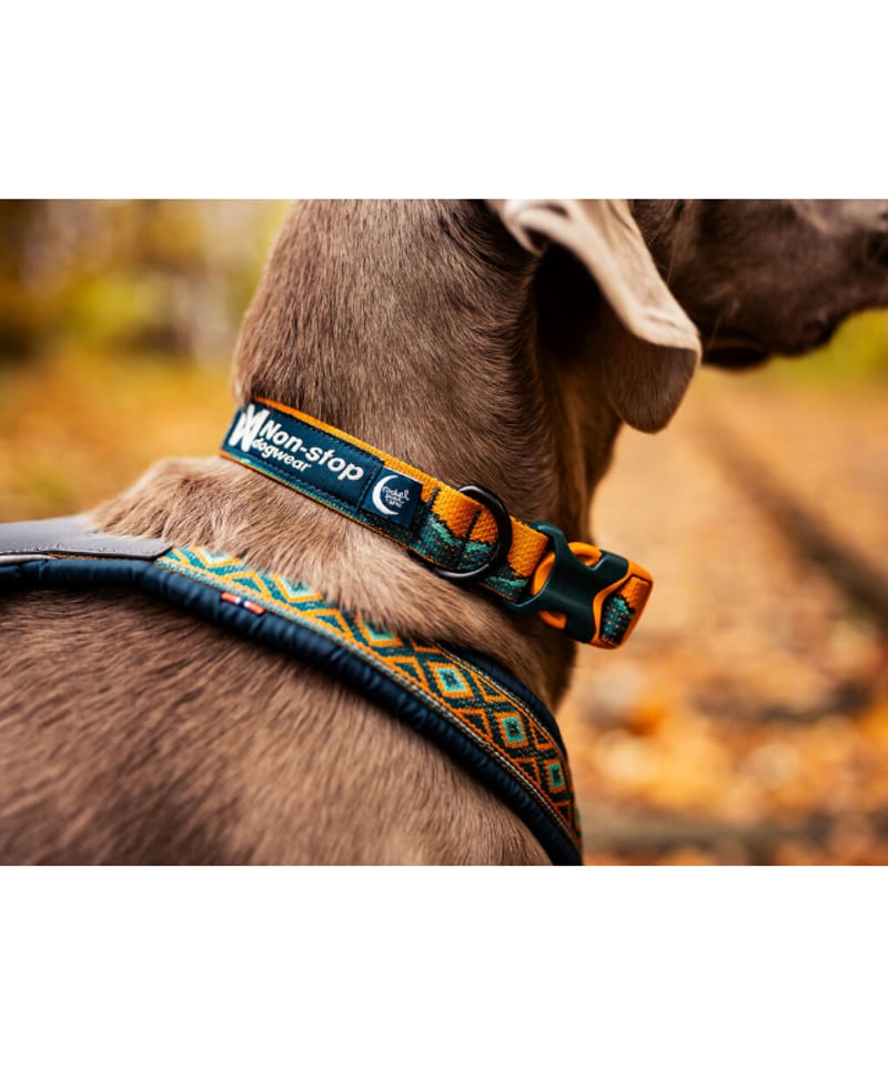 Non-stop dogwear] Trail quest collar Rachel Po