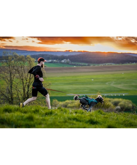 [Non-stop dogwear] CaniX belt 2.0 ブラック