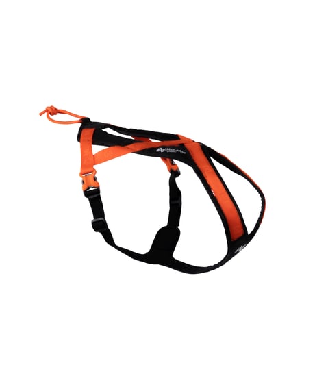 [Non-stop dogwear] Rush harness ブラック/オレンジ
