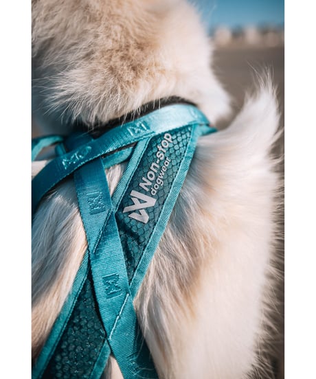 [Non-stop dogwear] Rush harness ブラック/オレンジ