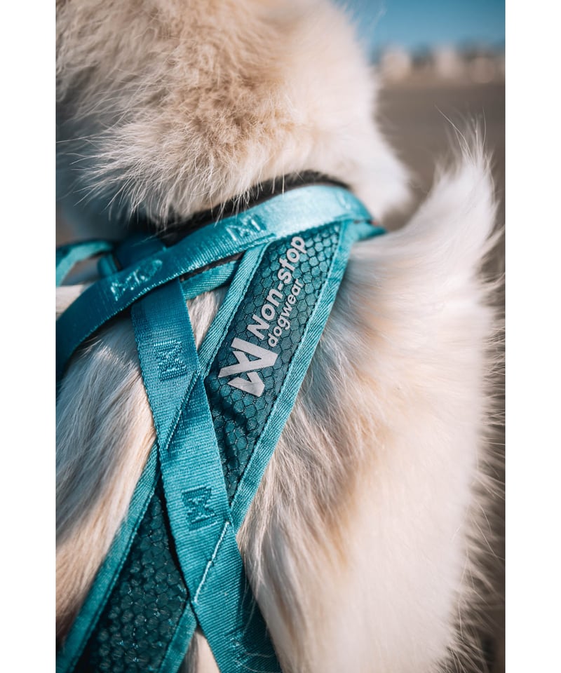 Non-stop dogwear] Rush harness ブラック/オレンジ | Whi