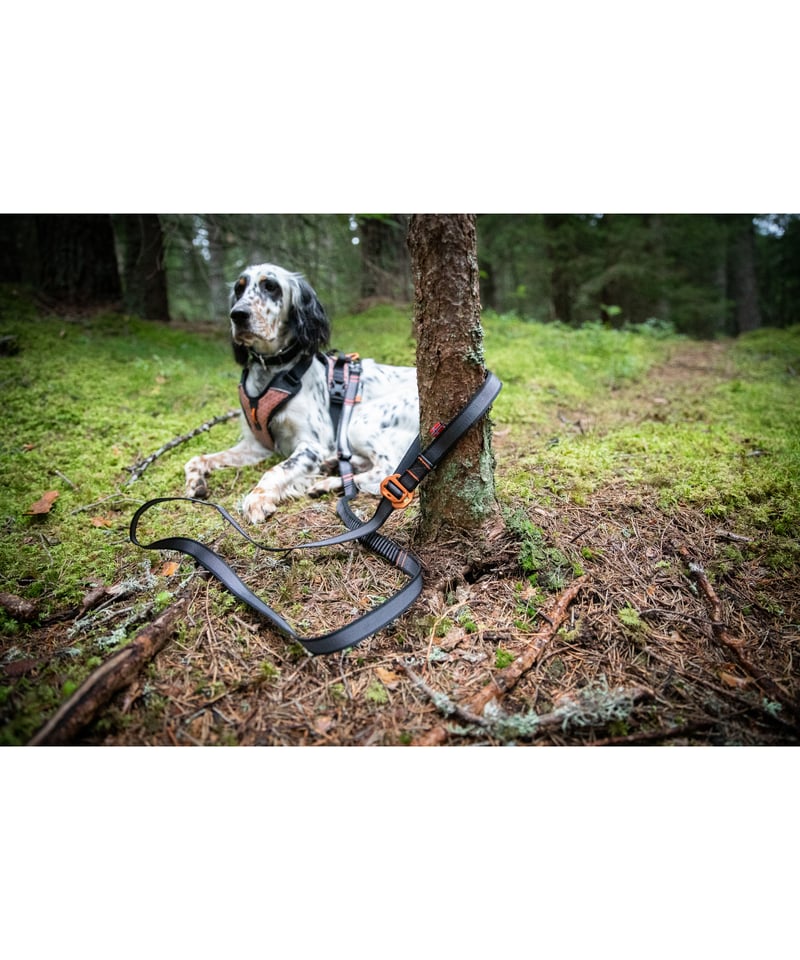 Touring bungee adjustable カニクロス用ベルトリード2個 Touring bungee adjustable カニクロス用ベルトリード【即日配送