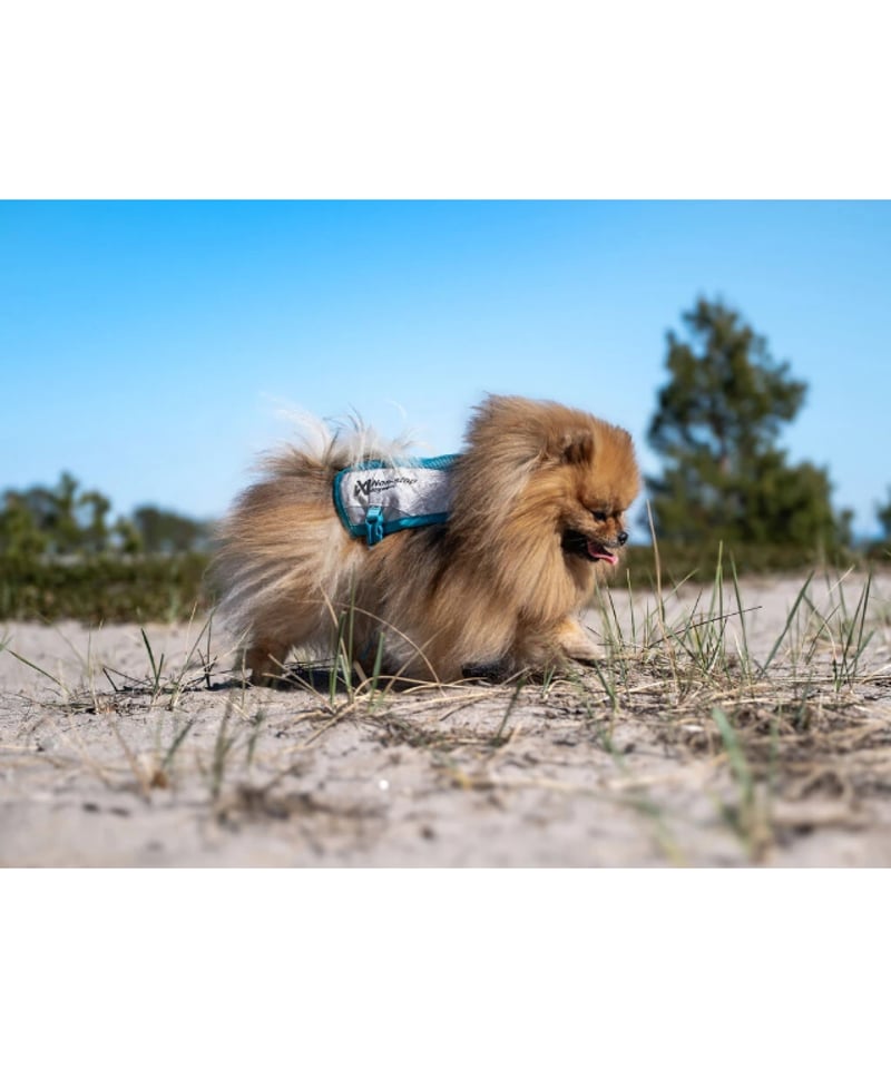 Non-stop dogwear] Cooling vest ライトグレー/ティール | W