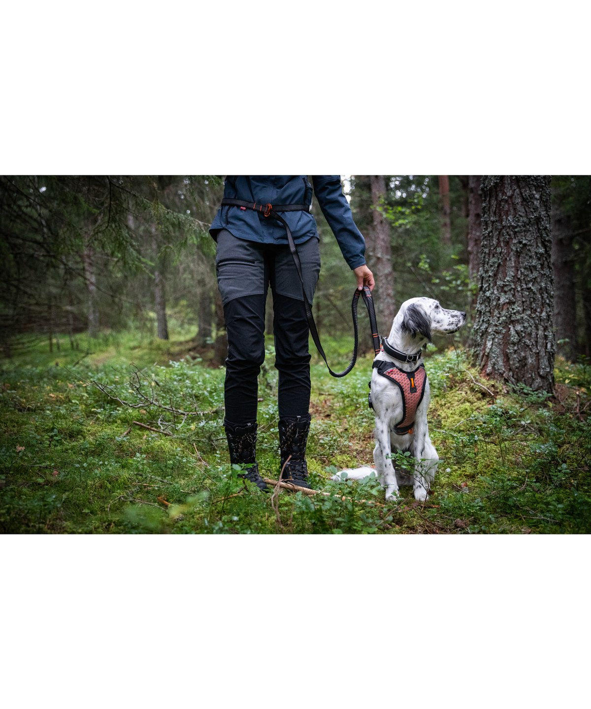 Non-stop dogwear] Touring bungee adjustable |