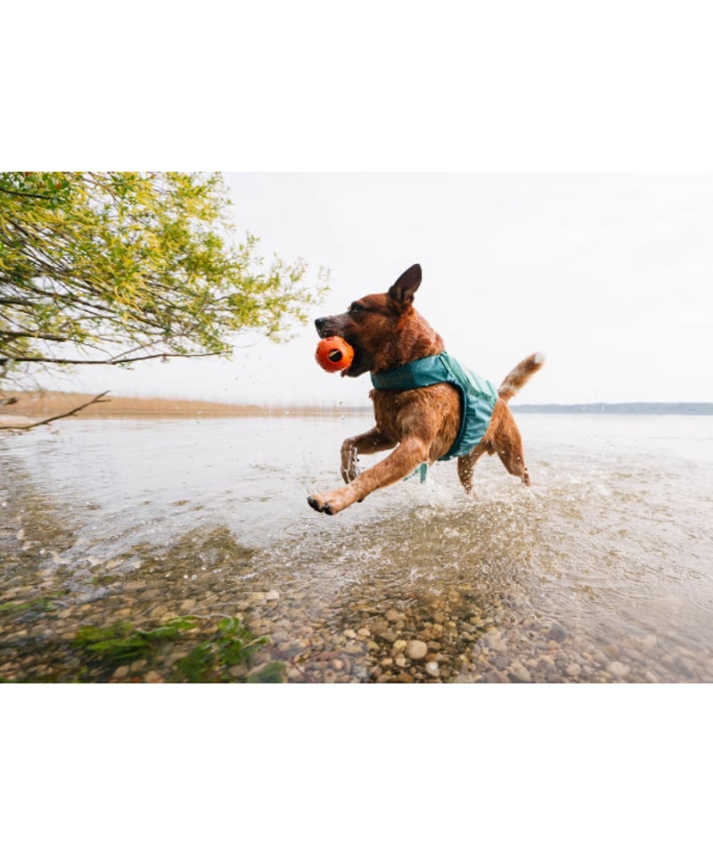 Non-stop dogwear] Protector life jacket ティール |